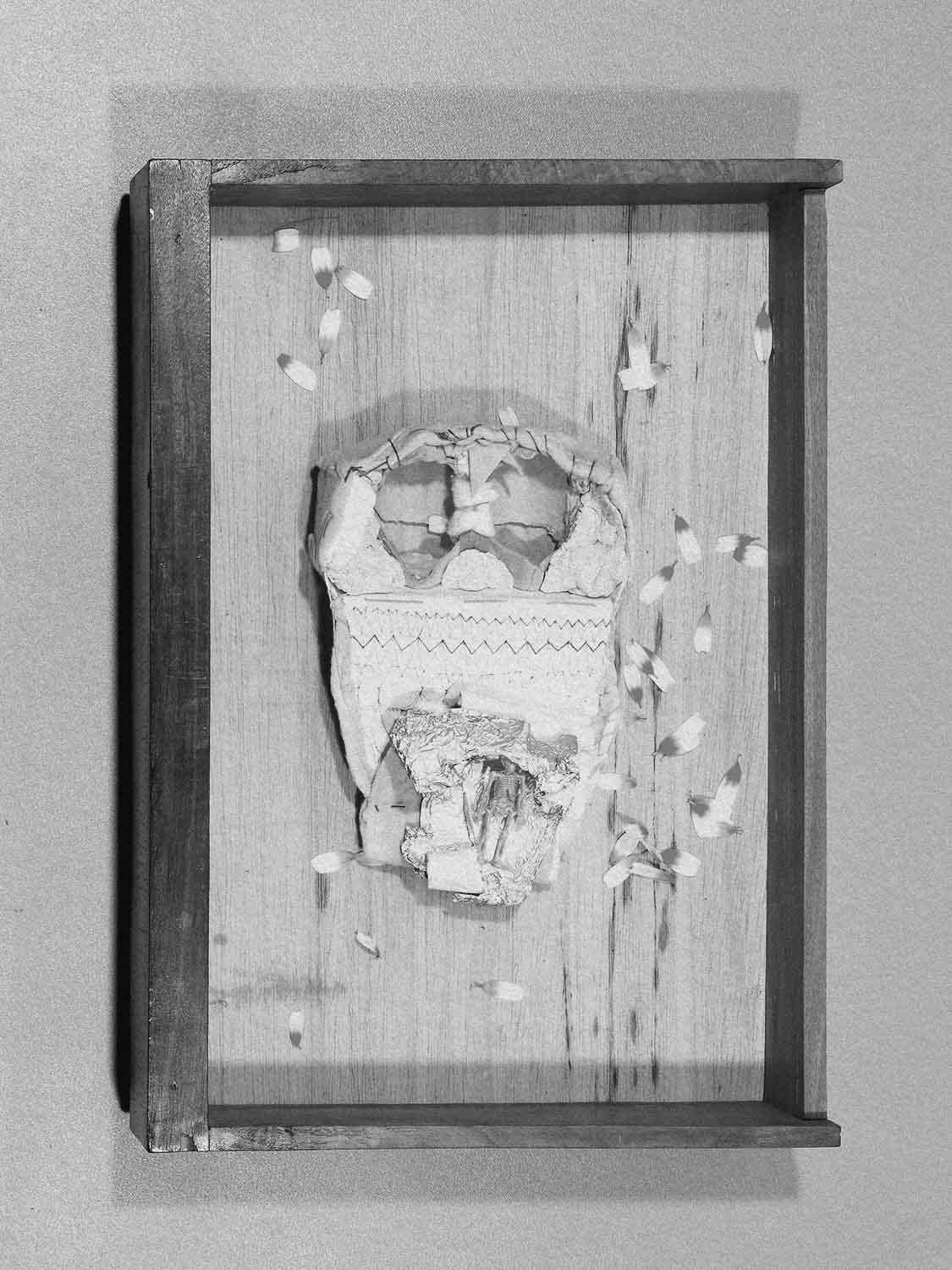 Project 15 drawer pb